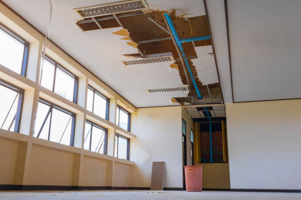Best Flooded house restoration  in Humble, TX