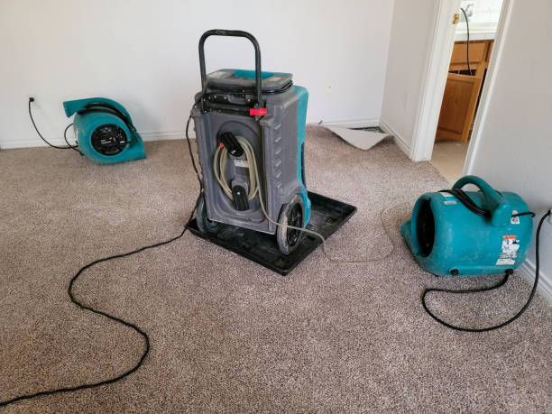 Trusted Humble, TX Water damage restoration Experts