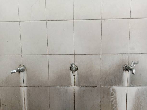 Best Mold removal after water damage  in Humble, TX
